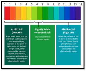 digital soil ph tester in USA